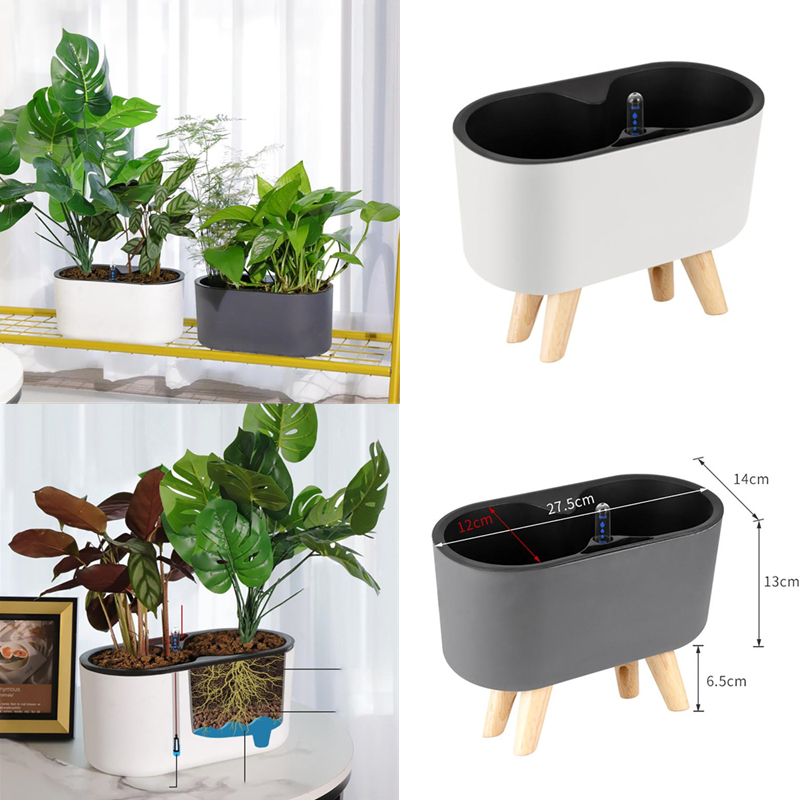 Self Watering Insert - Plante d'Nikavec Indicateur de Jambe en