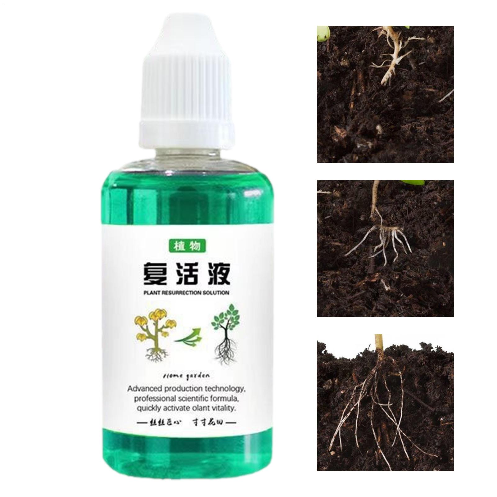 Root Stimulator Liquid - Stimulateur de racines pour plantes, 50ml,