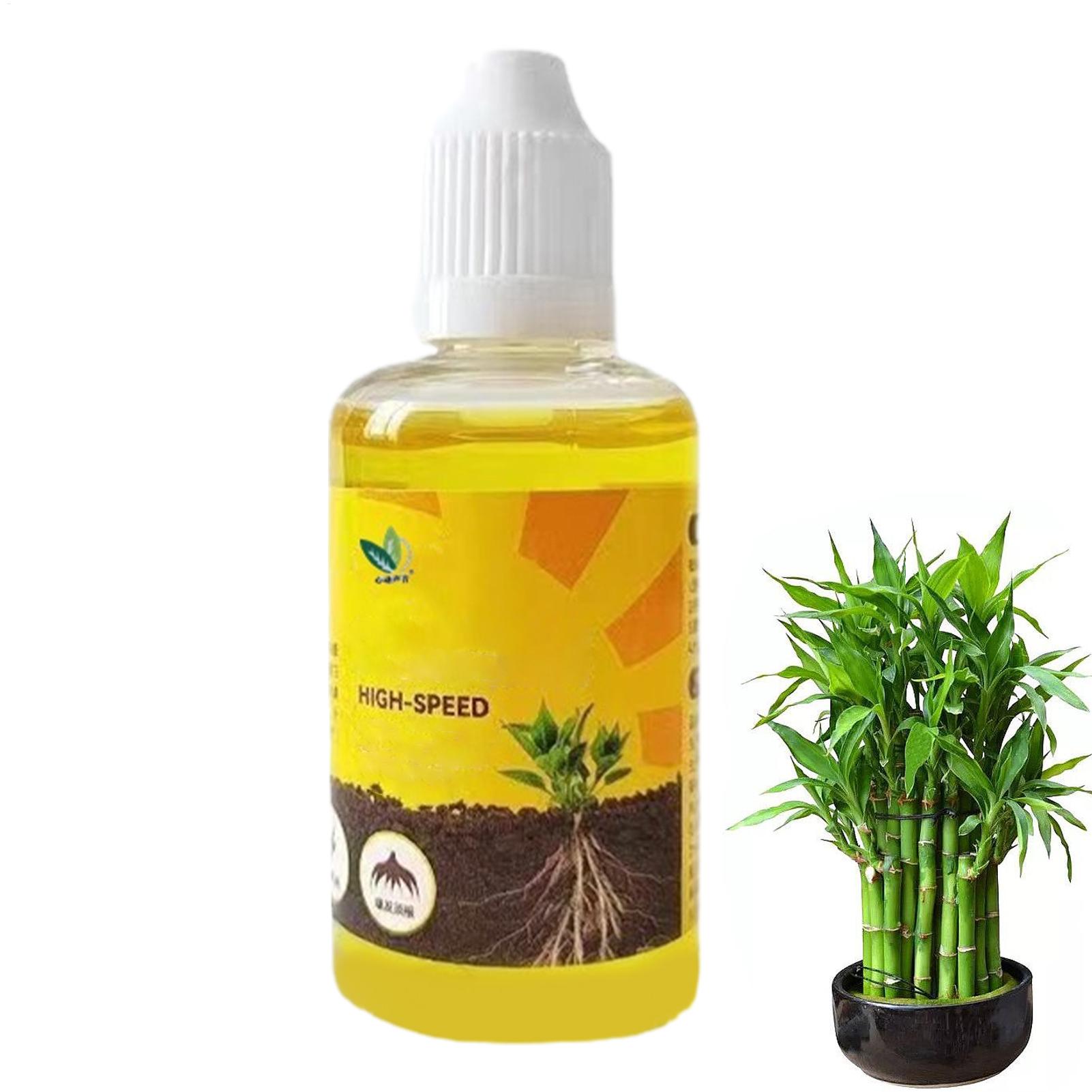 Root Stimulator Liquid - Stimulateur d'enracinement de plante liquide, 50ml,