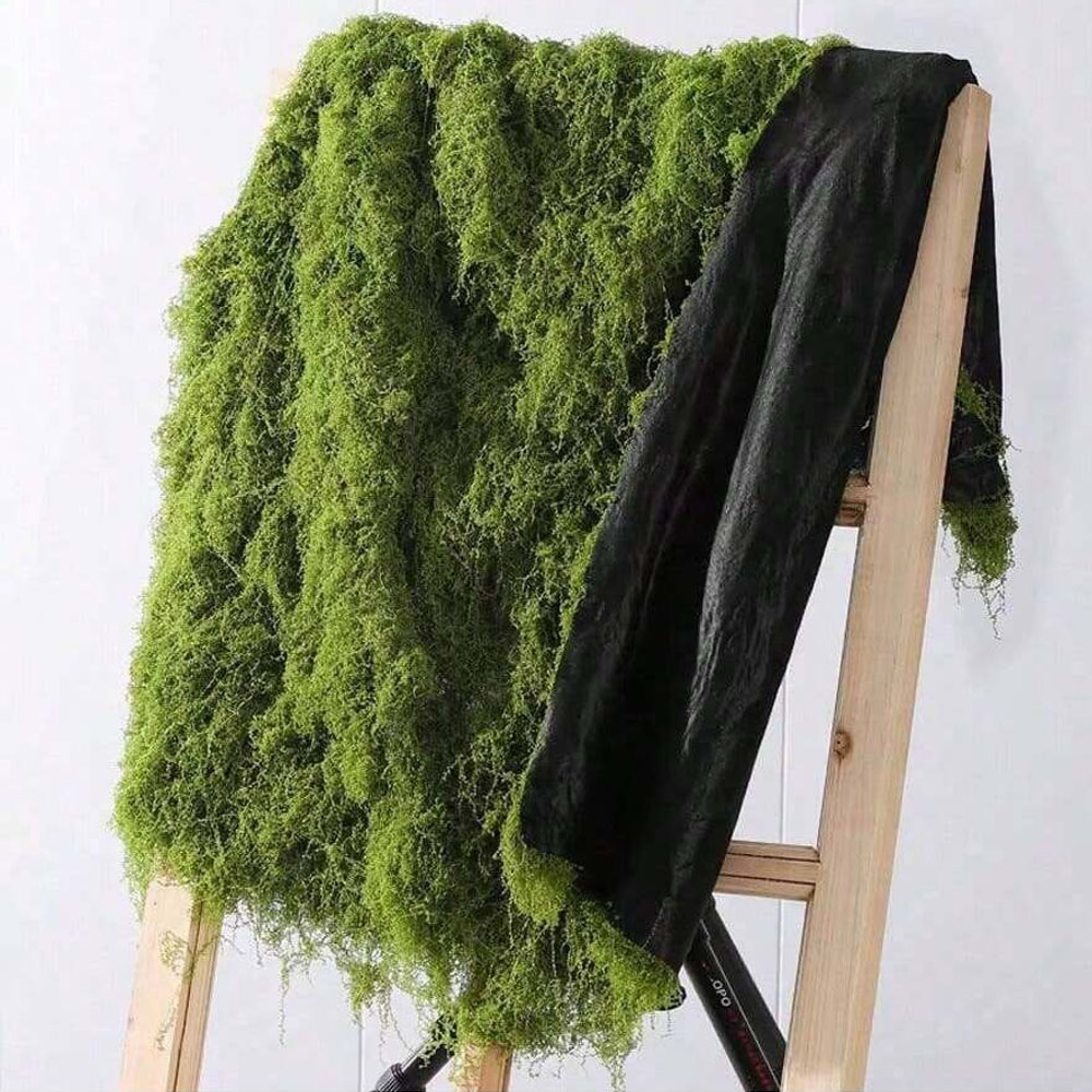 Sphagnum Moss Dry - 1*1m fausse mousse bricolage artisanat herbe