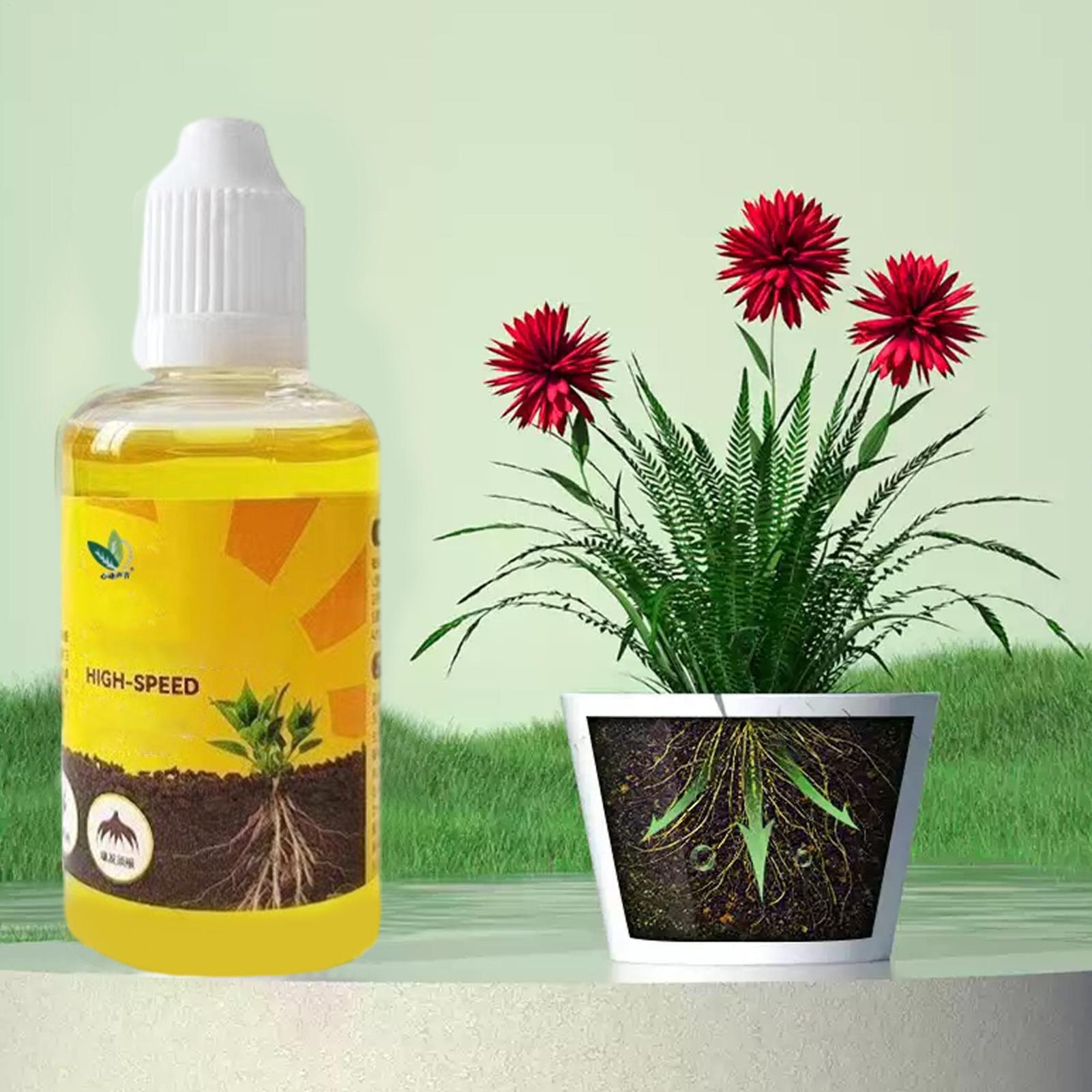 Root Stimulator Liquid - Solution d'enracinement rapide pour plantes 50ml