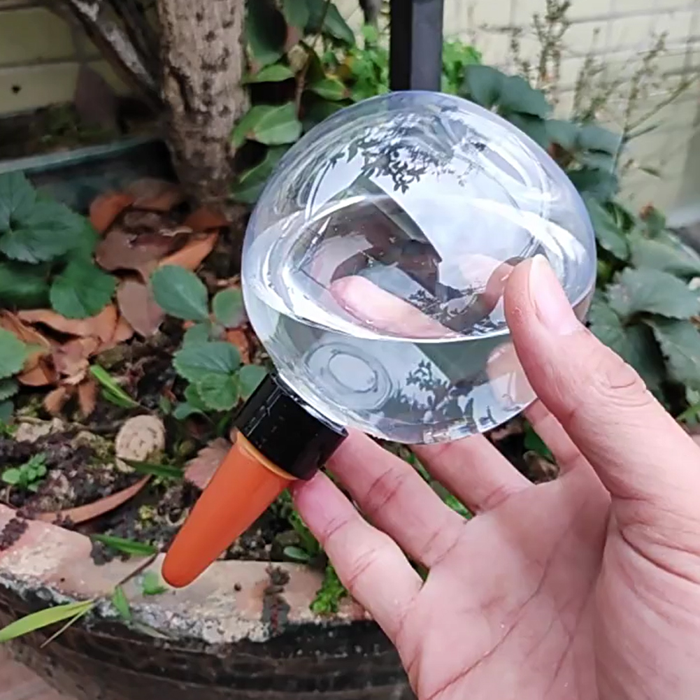 Système d'irrigation goutte-à- - Self Watering Insert avis et prix