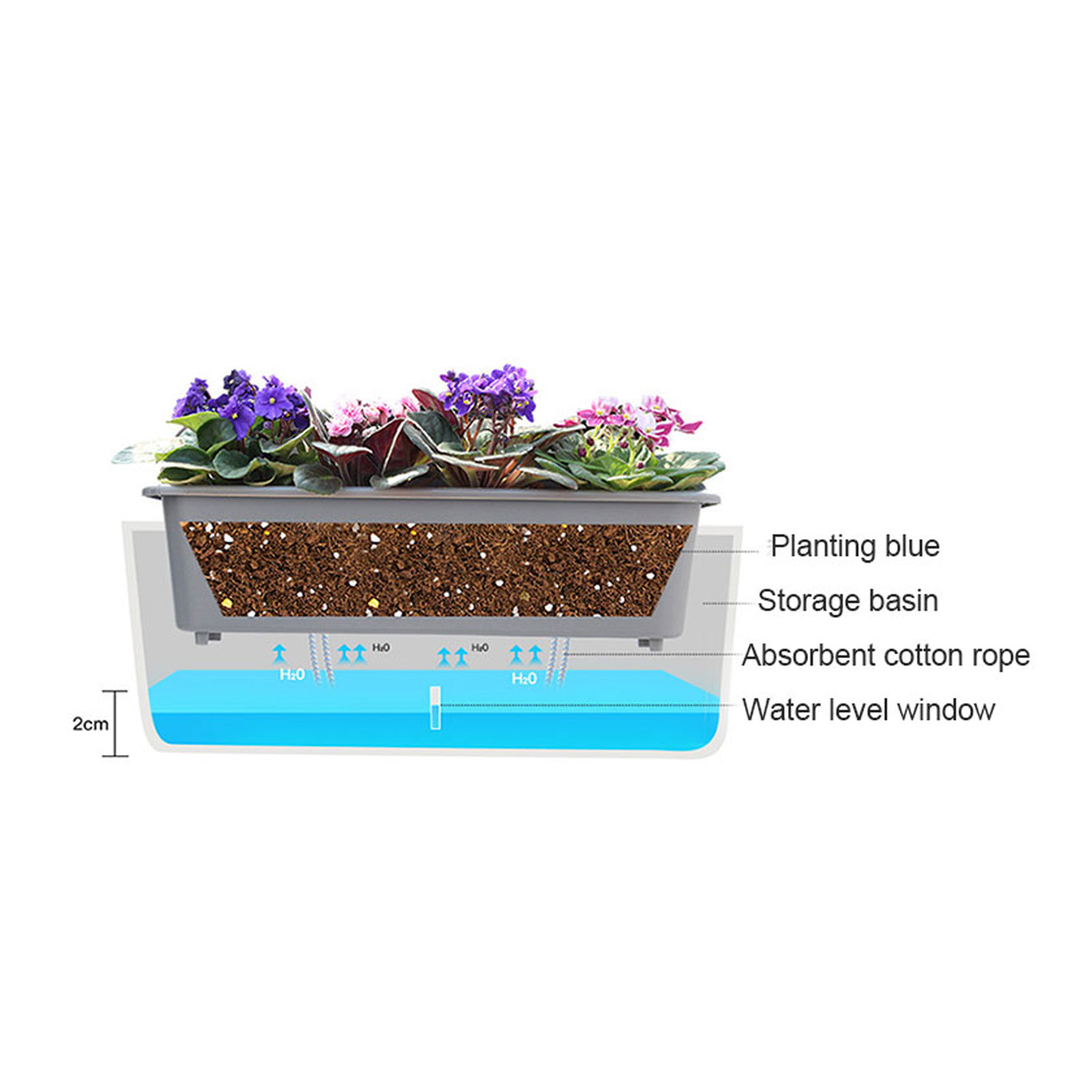 Pots de jardinière à arrosage  - Self Watering Insert avis et prix