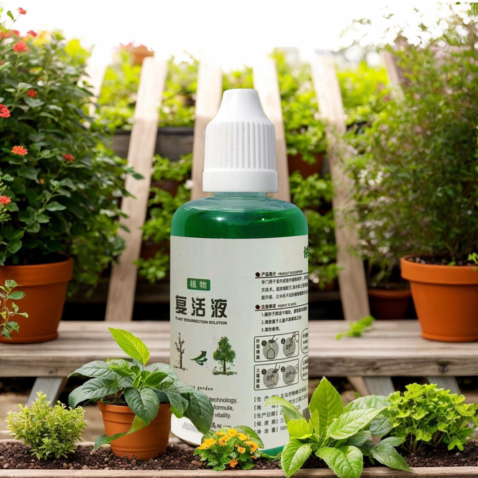 Stimulateur de racines pour pl - Root Stimulator Liquid avis et prix