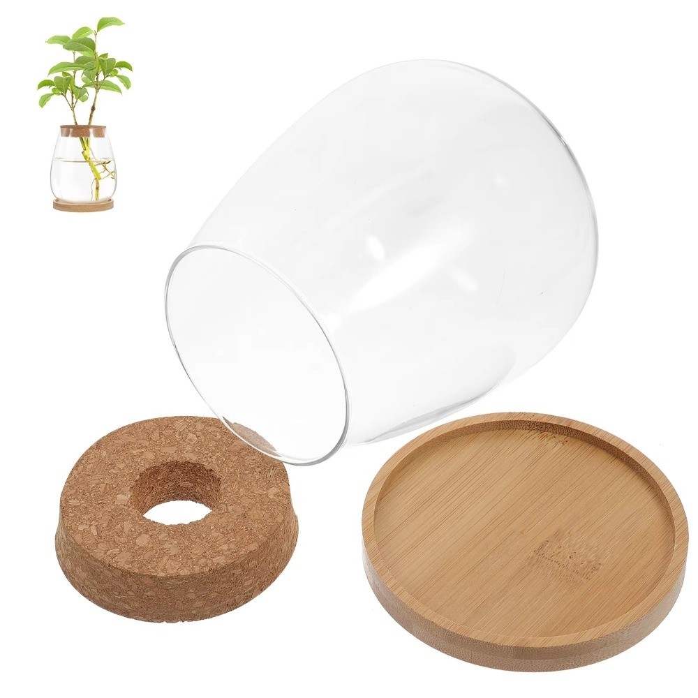 Pot de fleurs hydroponique tra - Propagation Station Vase avis et prix