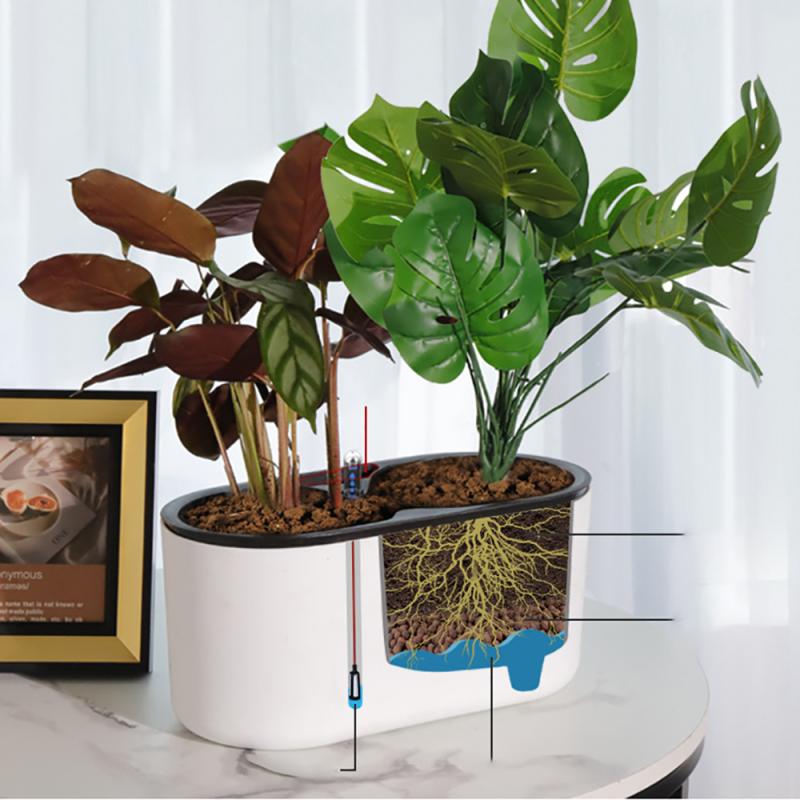 Plante d'Nikavec Indicateur de - Self Watering Insert avis et prix