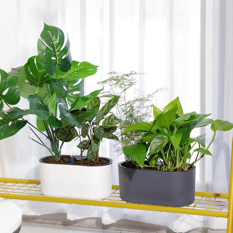 Plante d'Nikavec Indicateur de - Self Watering Insert avis et prix