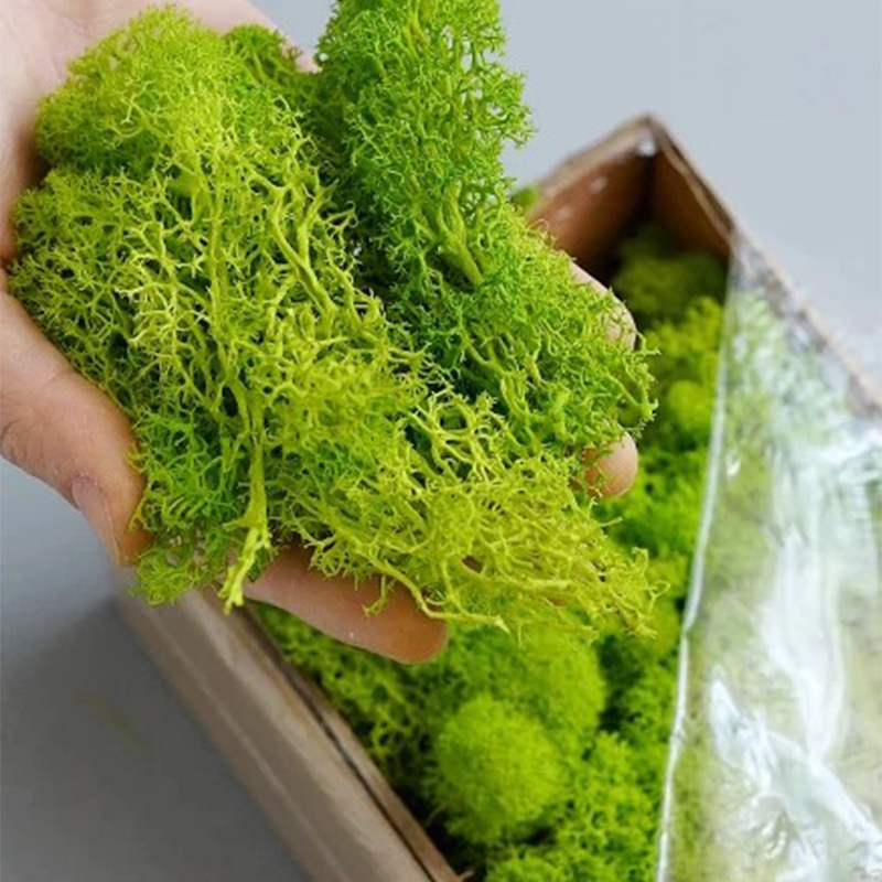 Plantes vertes artificielles M - Sphagnum Moss Dry avis et prix