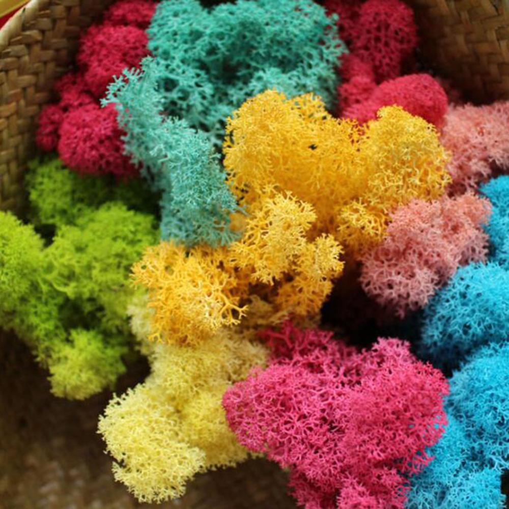 Mousse Artificielle pour Décor - Sphagnum Moss Dry avis et prix