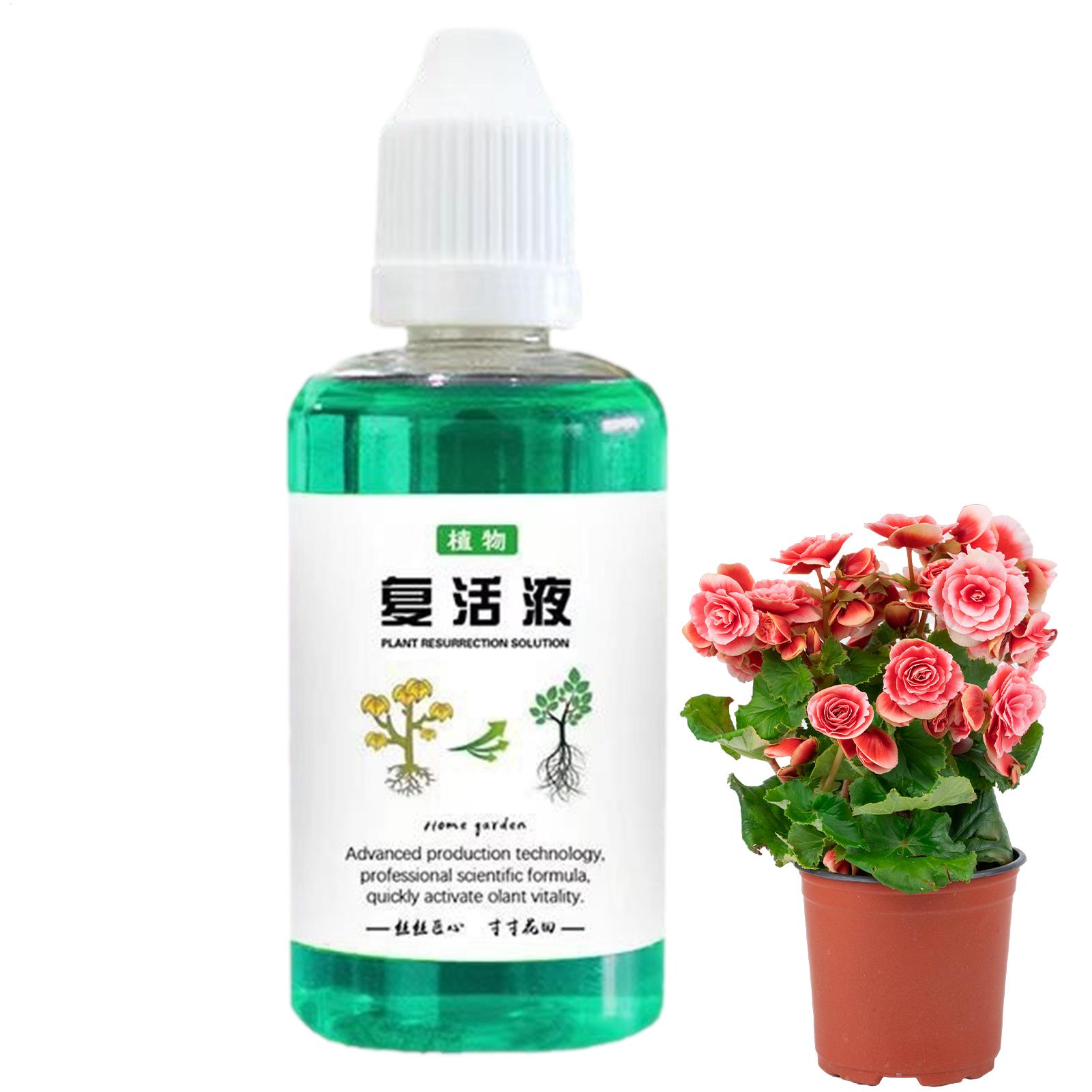 Stimulateur de racines pour pl - Root Stimulator Liquid avis et prix