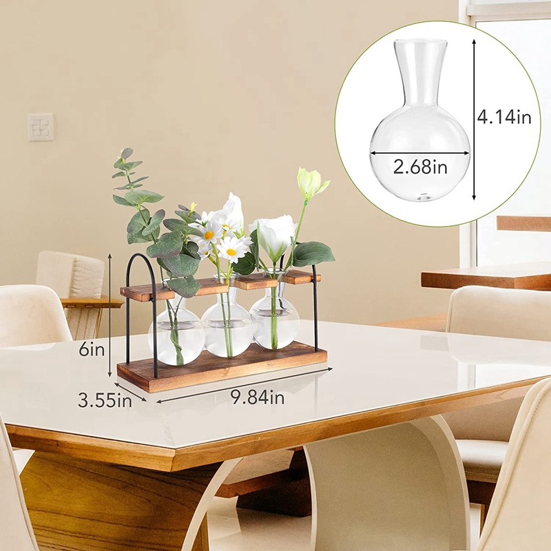 Station de propagation de plan - Propagation Station Vase avis et prix