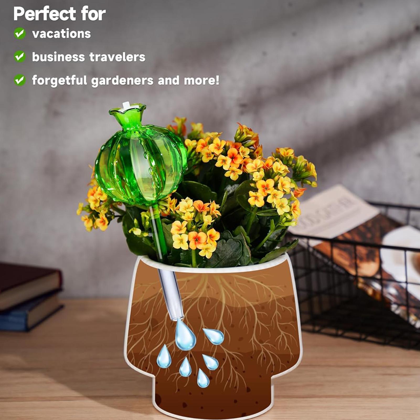 Piquets d'arrosage pour plante - Self Watering Insert avis et prix