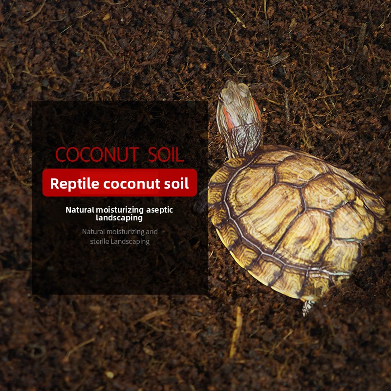 WAJABABY Brique Coco Coir prêt - Sphagnum Moss Dry avis et prix