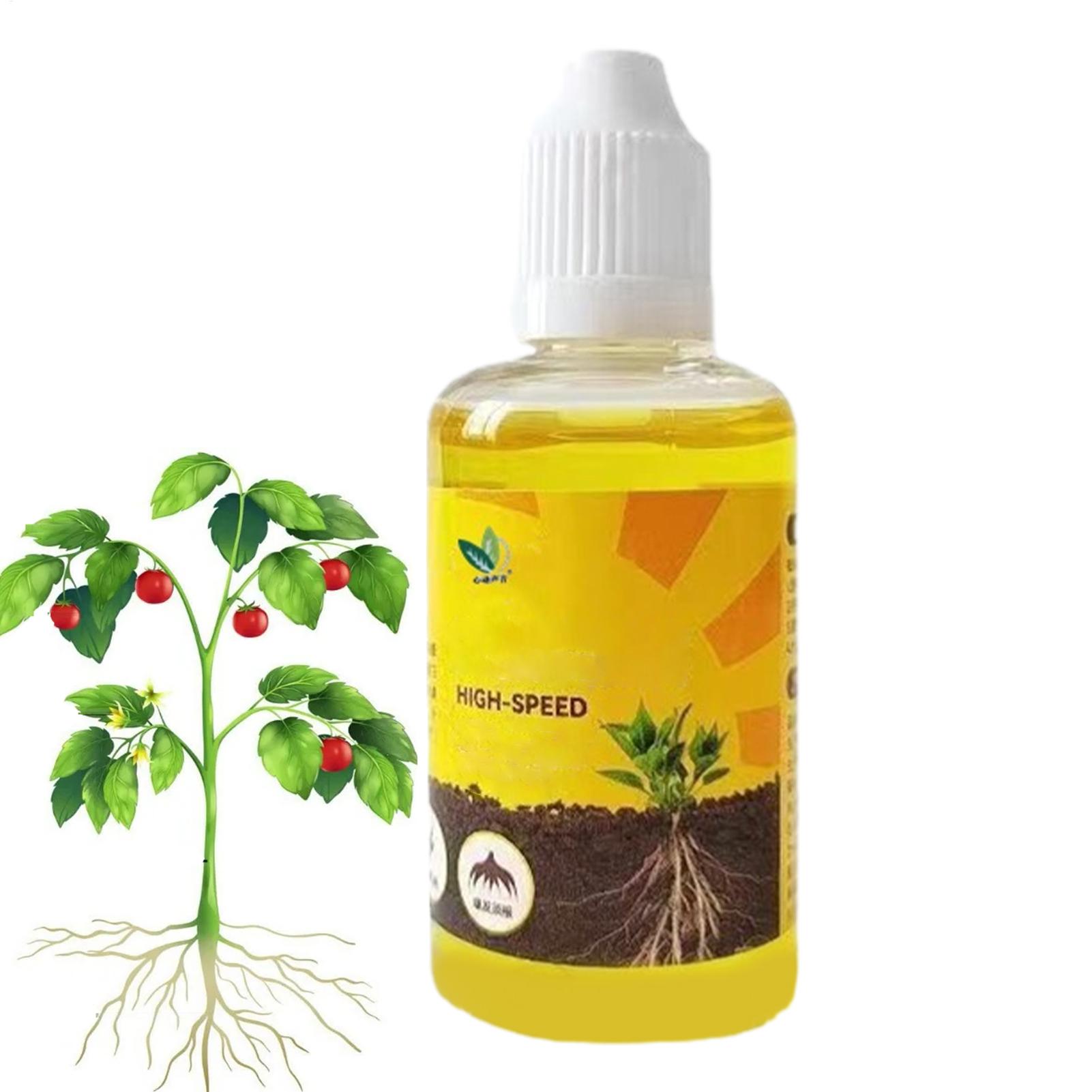 Solution nutritive pour plante - Root Stimulator Liquid avis et prix