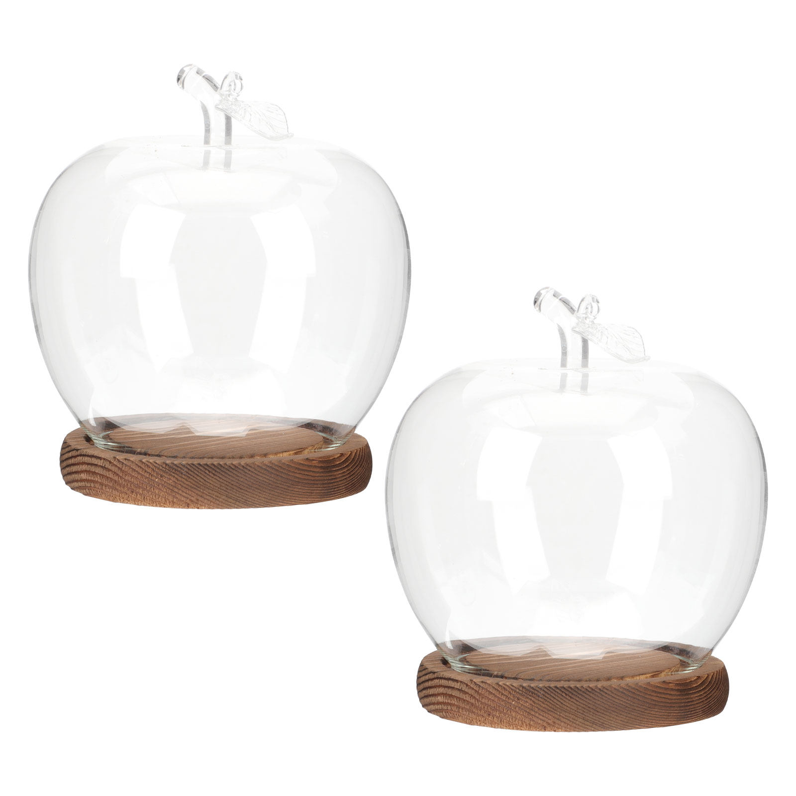 Lot de 2 cloches en verre avec - Plastic Dome Clear avis et prix