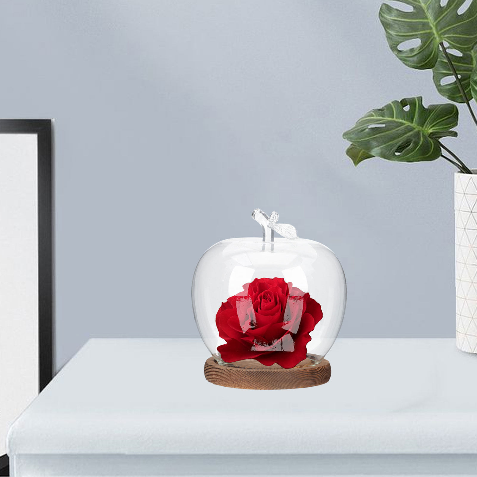 Lot de 2 cloches en verre avec - Plastic Dome Clear avis et prix
