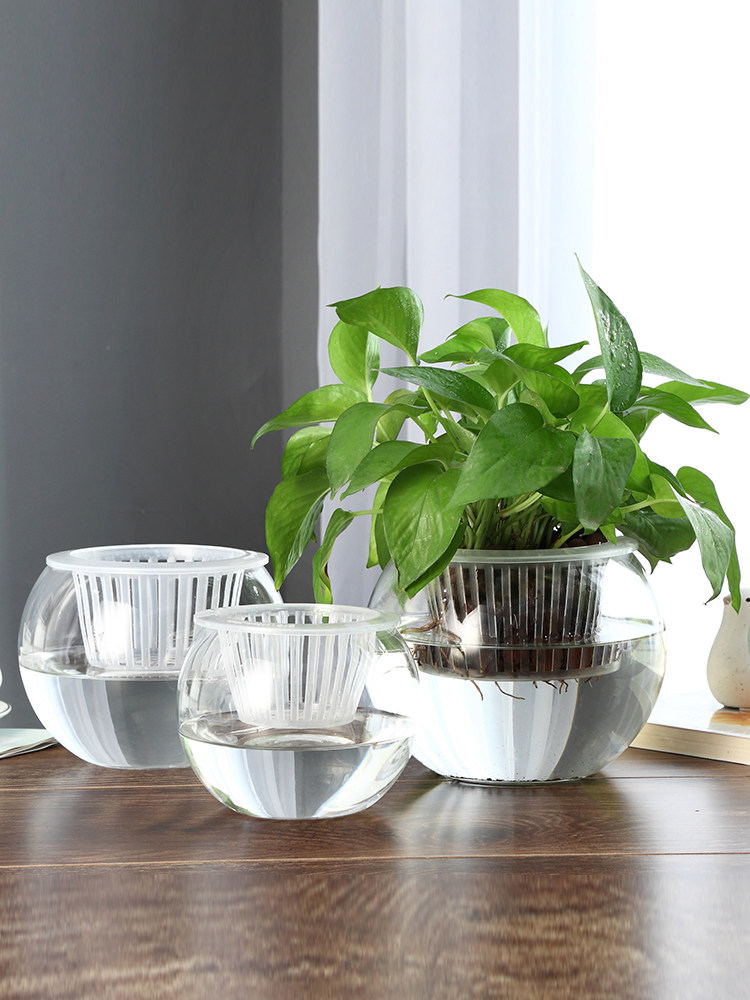 Vase en verre hydroponique, va - Propagation Station Vase avis et prix